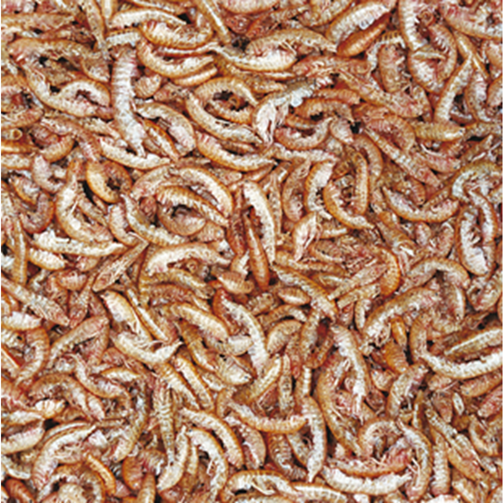 Tropical Gammarus 250ml/30Gr Kaplumbağa Yemi