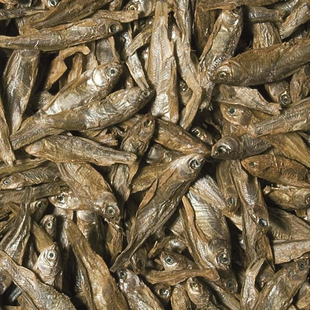 Tropical Dried Fish 100ML/15G