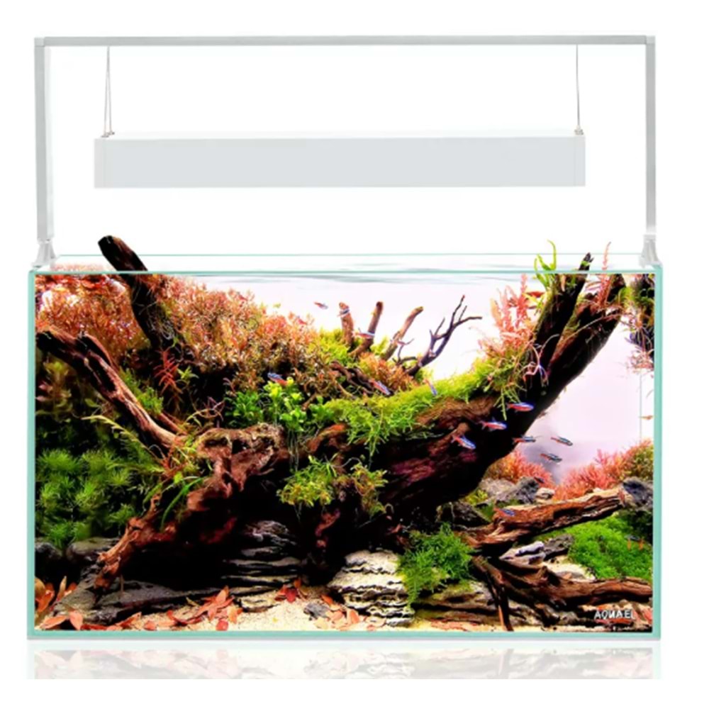 Aquael Ultrascape 60 Snow Set