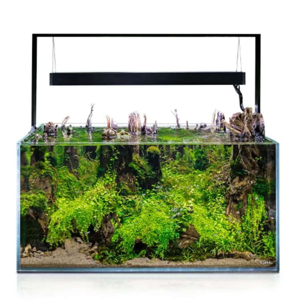 Aquael Ultrascape 90 Forest Set