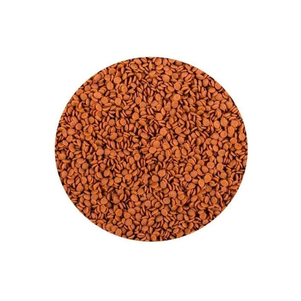 Tropical Soft Line Africa Carnivore Chips