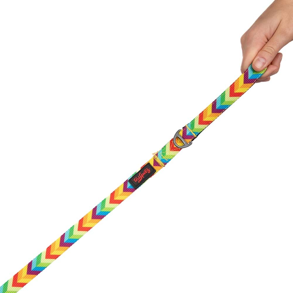 Tailpetz Rainbow Leash