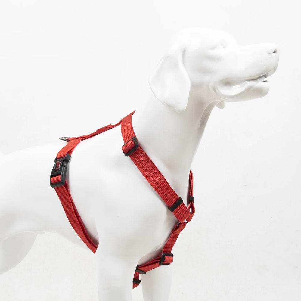 Tailpetz Prism H-Harness