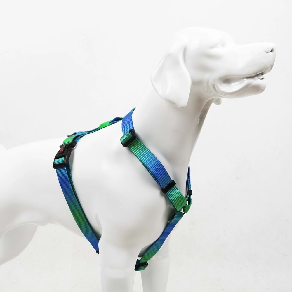 Tailpetz Amazon H-Harness