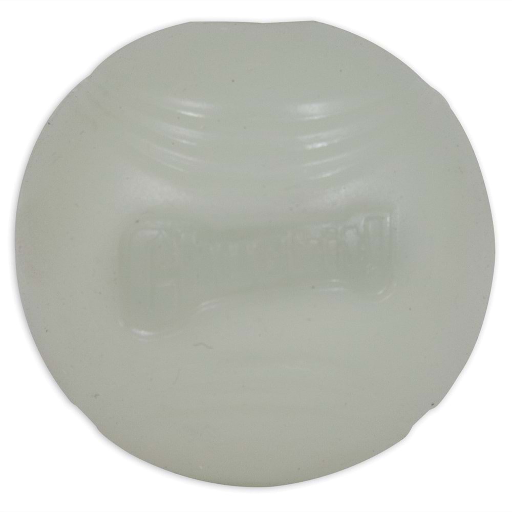 Chuckit! Max Glow Gece Parlayan Köpek Oyun Topu (Küçük Boy)