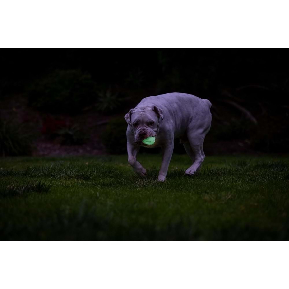Chuckit! Max Glow Air Fetch Gece Parlayan 2'li Köpek Oyun Topu (Küçük Boy)
