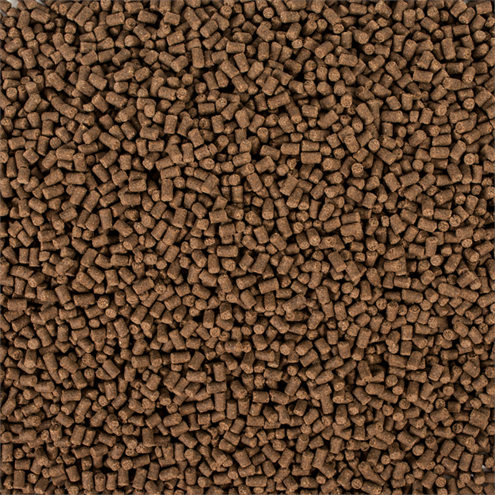 Tropical Sterillet Basic S Wor. 1000Ml/500Gr