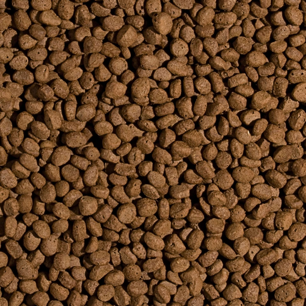 Tropical Koi Wheat Germ&Garlic Pellet Size M 1000ml/320Gr