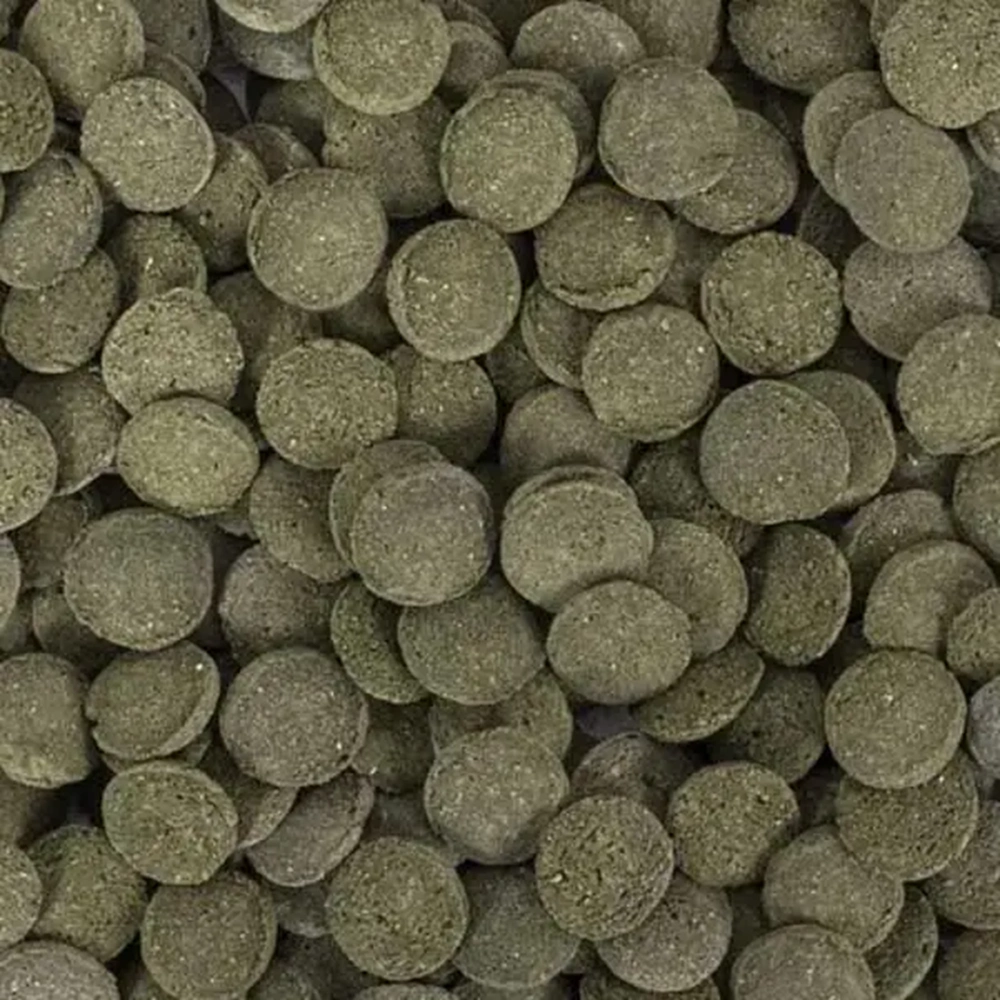 Tropical Hi Algae Discs 250ml/150G