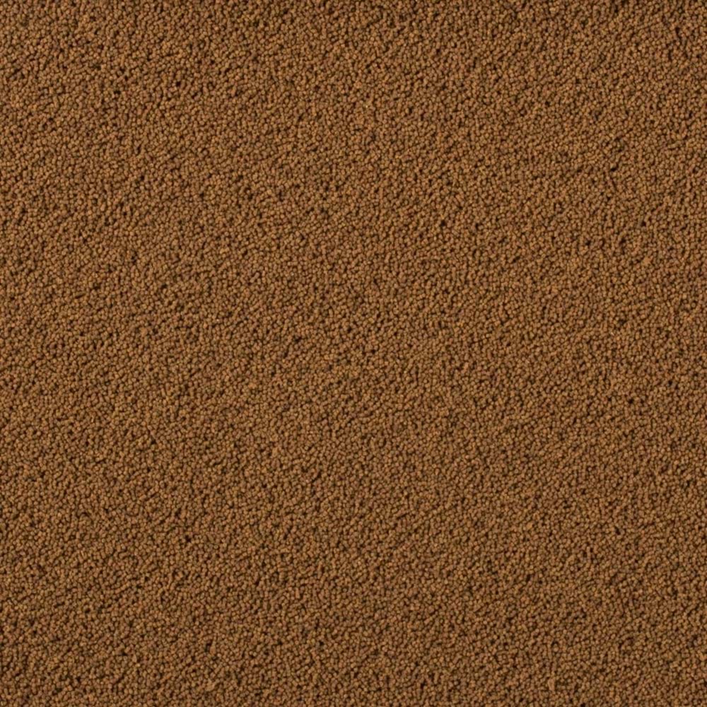 Tropical Insect Menu Gran XXS 10L/6,4Kg