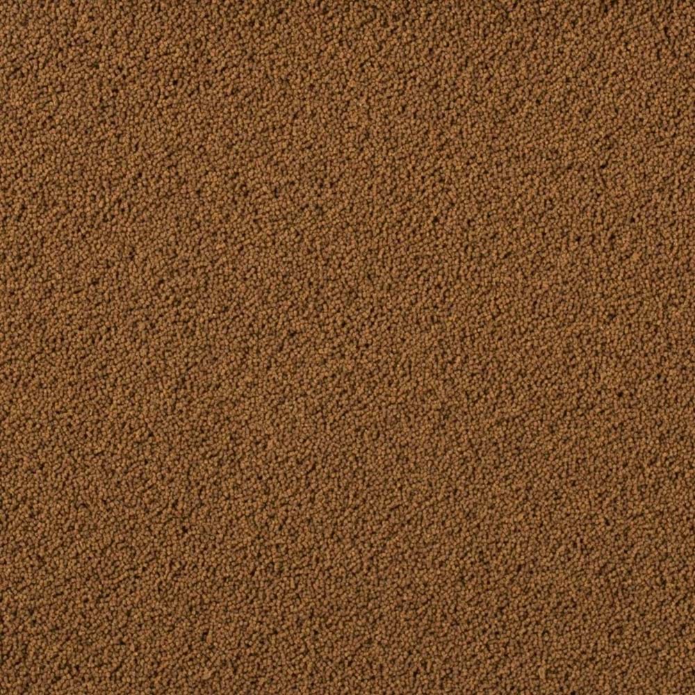 Tropical Insect Menu Gran S 100ml/54Gr