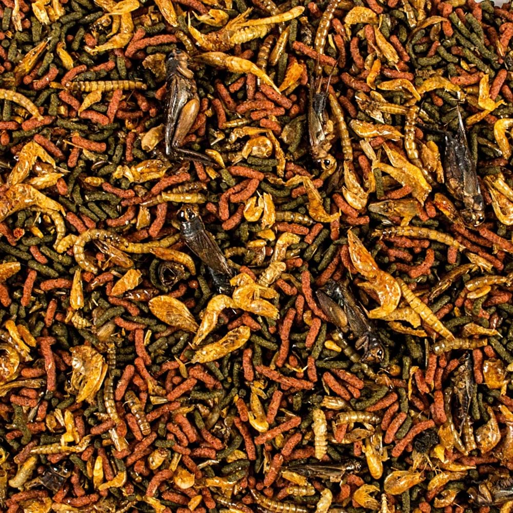 Tropical Soft Line Carnivore 10Lt/3,2Kg