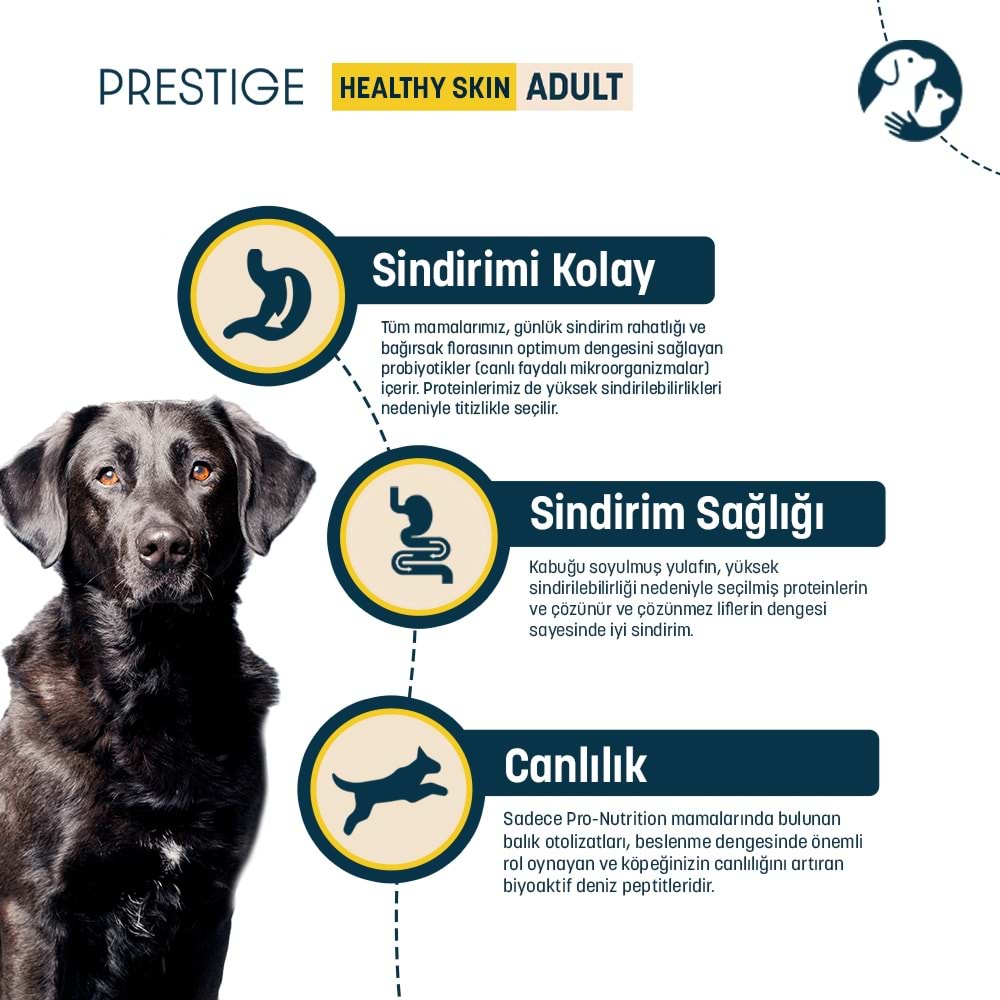 Pro Nutrition Prestige Tahılsız Somonlu Yetişkin Köpek Maması 3KG