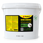 Tropical River Shrimps