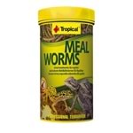 Tropical Meal Worms