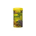 Tropical Meal Worms