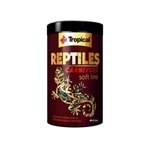 Tropical Reptiles Carnivore Soft
