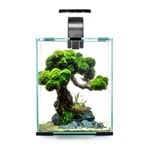 Aquael Shrimp Set Smart D&N Akvaryum Seti