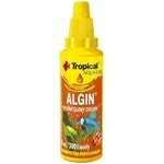 Tropical Algin Yosun Önleyici
