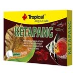 Tropical Ketapang