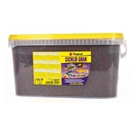 Tropical Cichlid Gran