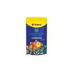 Tropical Marine Power Clownfish