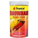 Tropical Arowana Medium