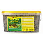 Tropical Green Algae Wafers