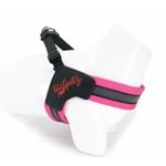 Neon Pink