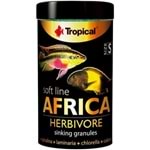 Tropical Soft Line Africa Herbivore Size S