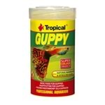 Tropical Guppy Pul Yem
