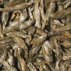 Tropical Dried Fish 100ML/15G
