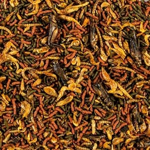 Tropical Soft Line Carnivore 10Lt/3,2Kg