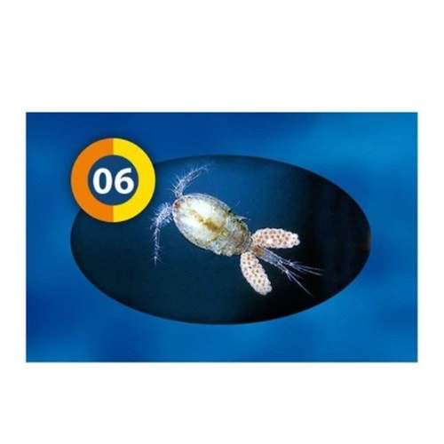 Frozen Fish Food Cyclops 100Gr - 06