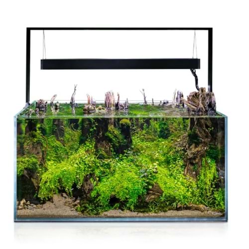 Aquael Ultrascape 90 Forest Set