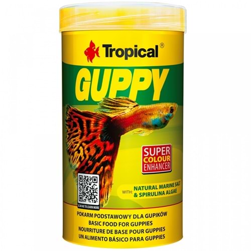 Tropical Guppy Pul Yem