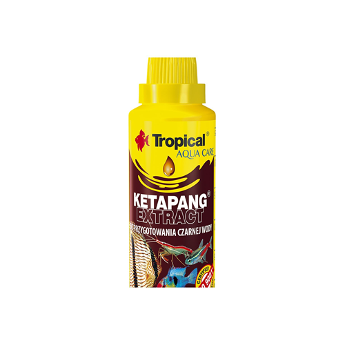 Tropical Ketapang