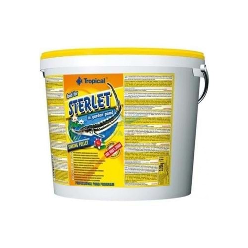 Tropical Sterillet Basic