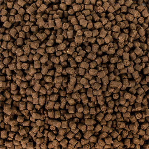 Tropical Sterillet Basic M Wor. 1000Ml/500Gr