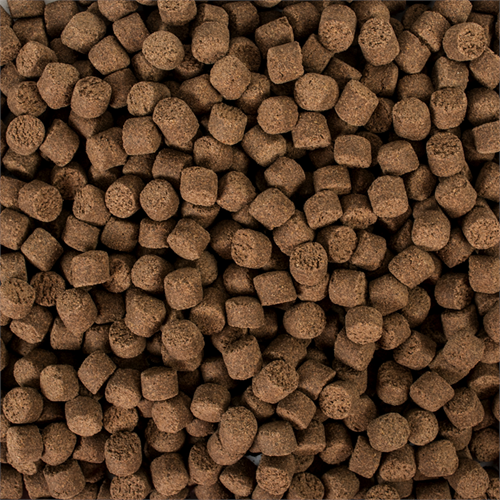 Tropical Sterillet Basic L Wor. 1000Ml/500Gr