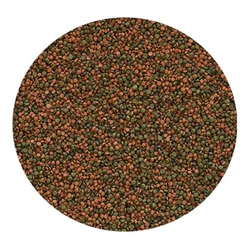 Tropical Cichlid Gran 100ml/55Gr