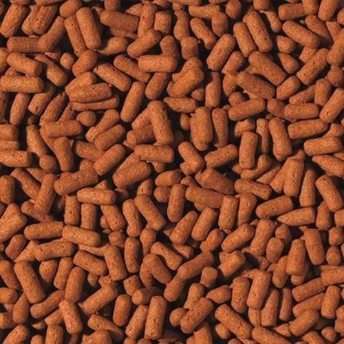 Tropical Cichlid&Arowana Large Sticks 250Gr