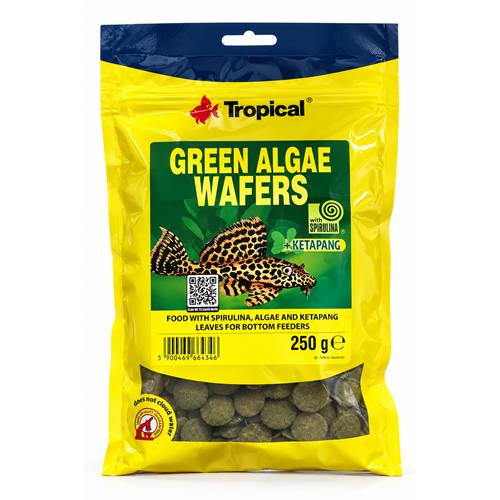 Tropical Green Algae Wafers 250Gr