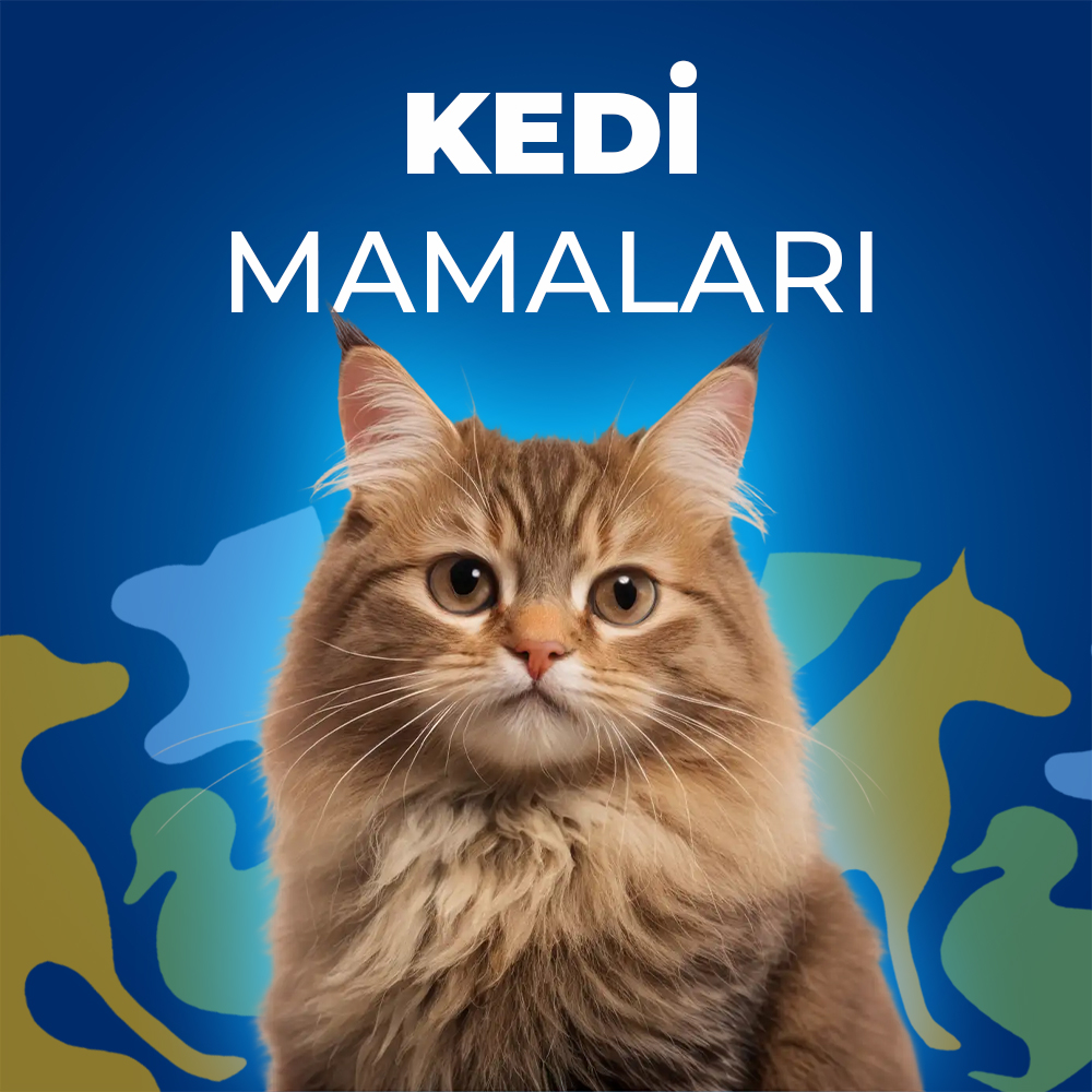 Kedi Maması