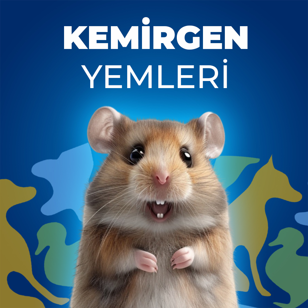 Kemirgen Yemleri