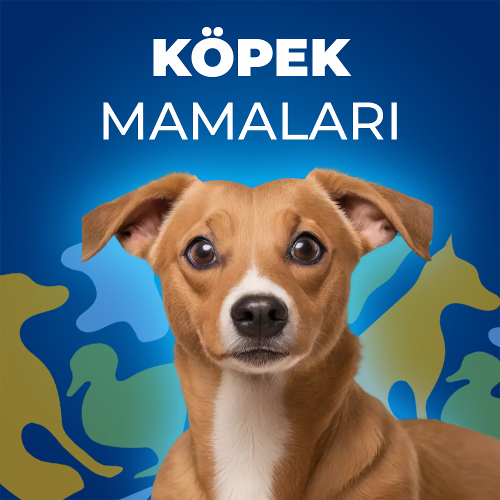 Köpek Maması