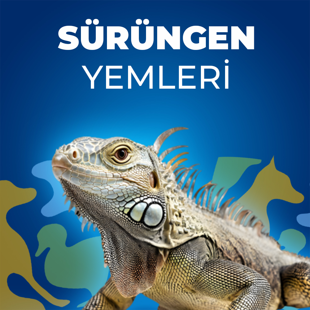 Sürüngen Yemleri
