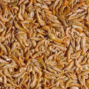 Tropical River Shrimps 250ml/40Gr