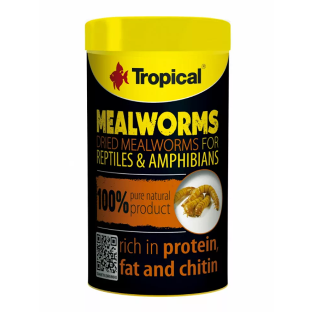 Tropical Meal Worms 100 ml/13Gr ( Kurutulmuş Un Kurdu )