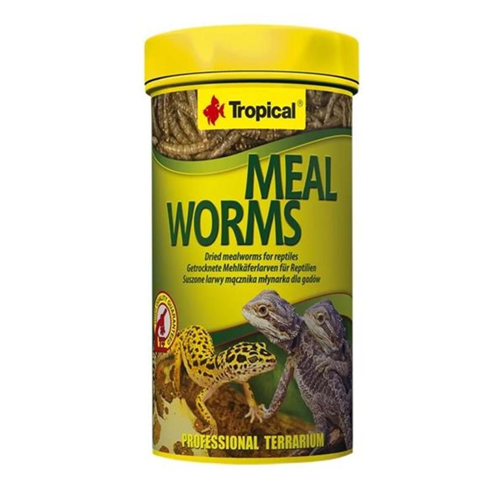 Tropical Meal Worms 250ml/30Gr ( Kurutulmuş Un Kurdu )